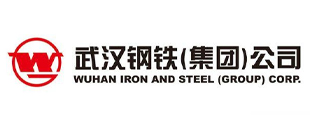 武汉钢铁（集团）公司